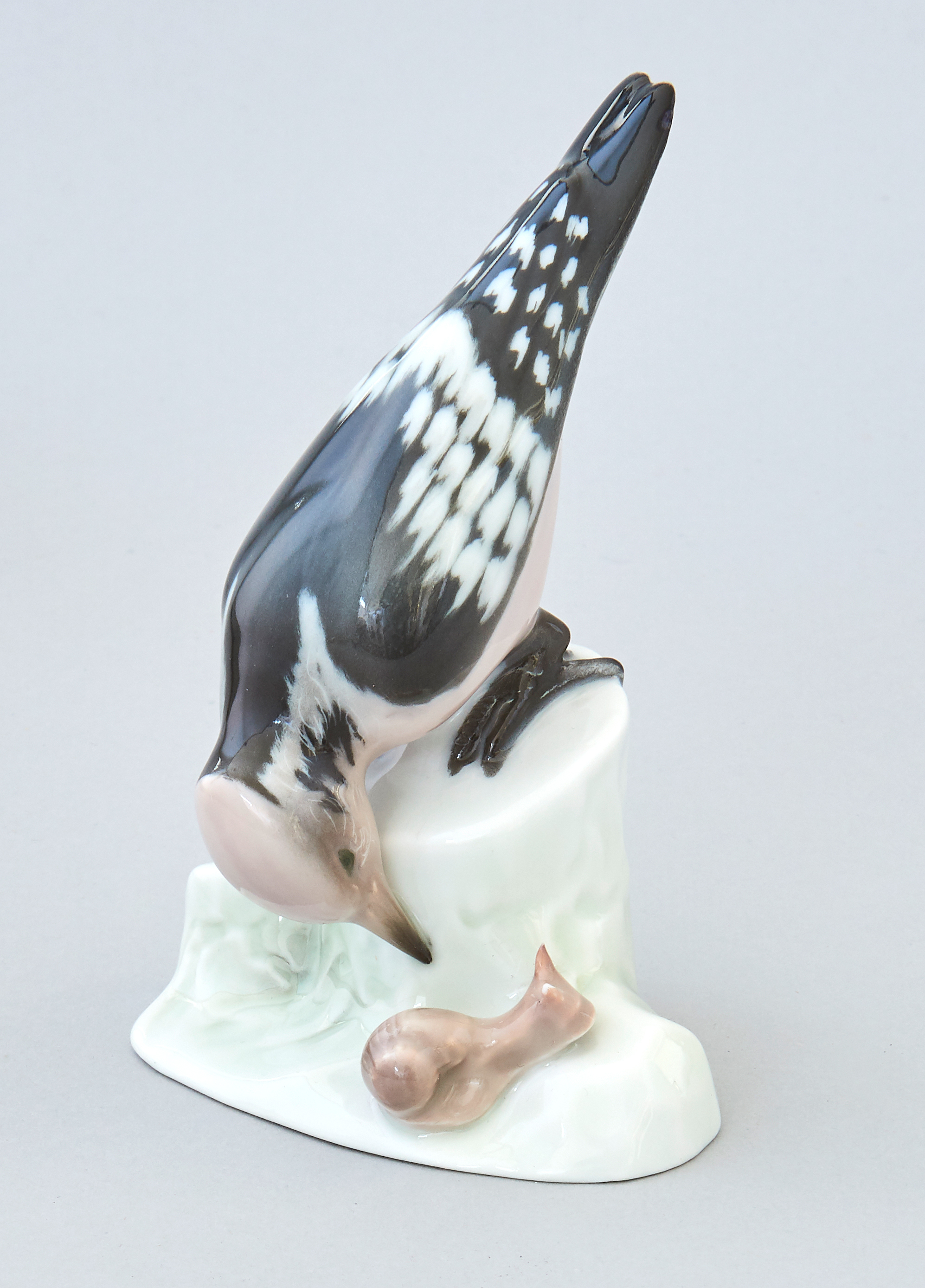 Vogel und Schnecke Vogel und Schnecke