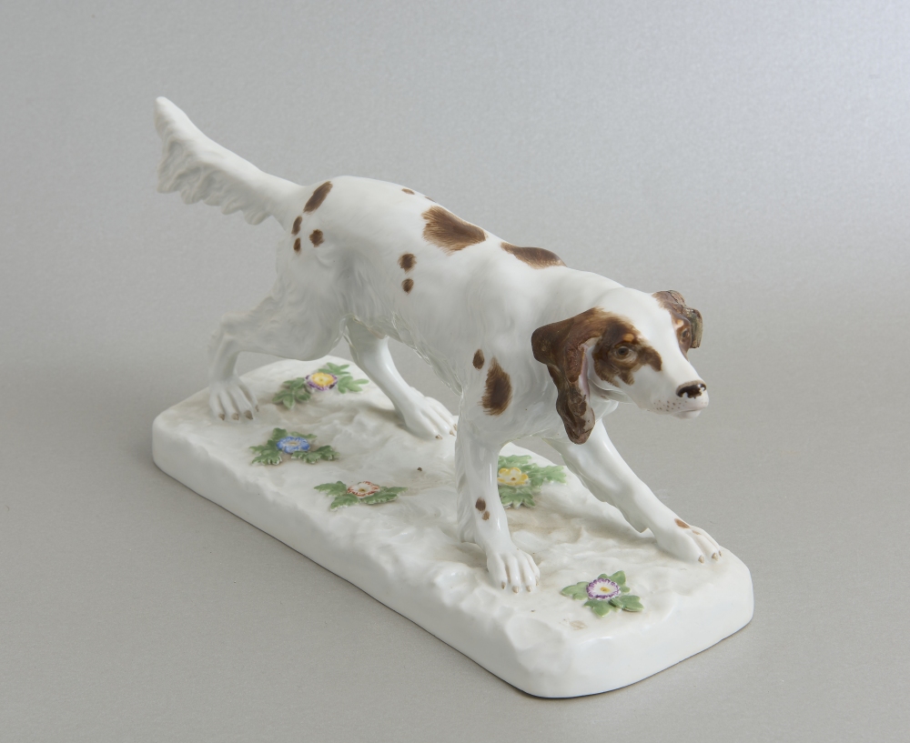 Meissen Jagdhund Meissen Jagdhund