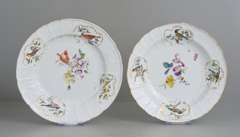 2 Teller Meissen 18. Jhdt. mit Vogelmalerei 2 Teller Meissen 18. Jhdt. mit Vogelmalerei