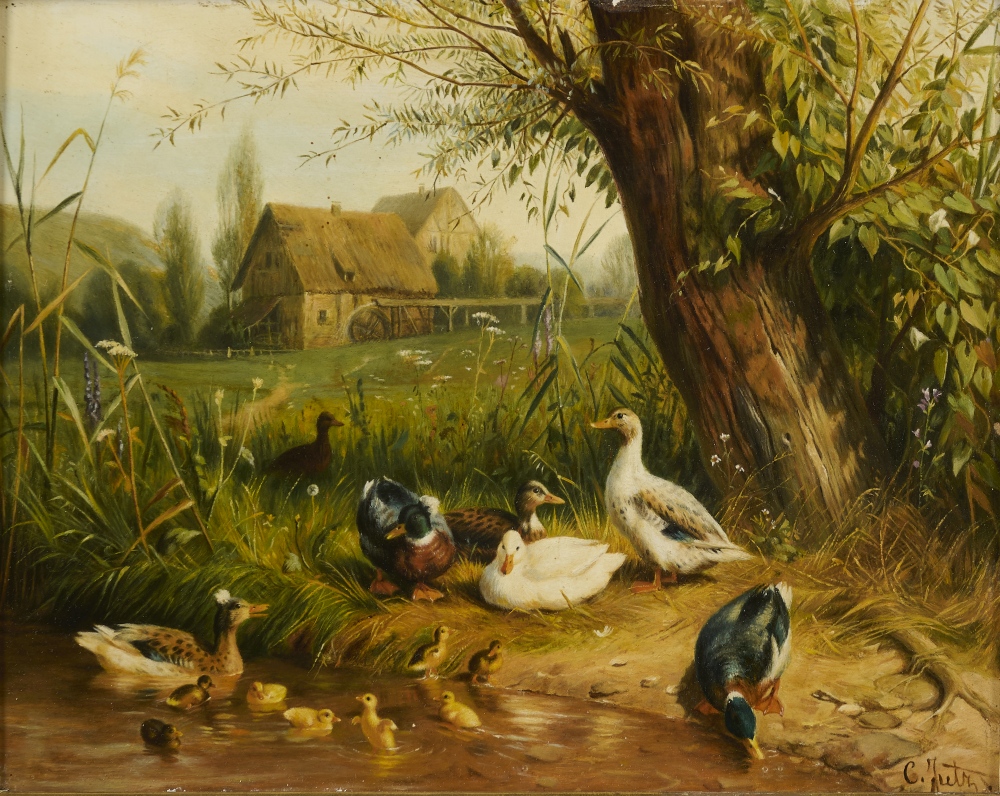 Entenfamilie am Wasser