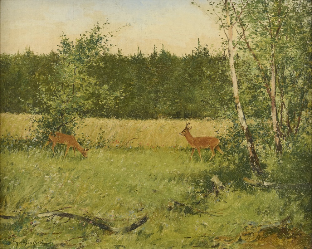 Rehe in Landschaft Rehe in Landschaft