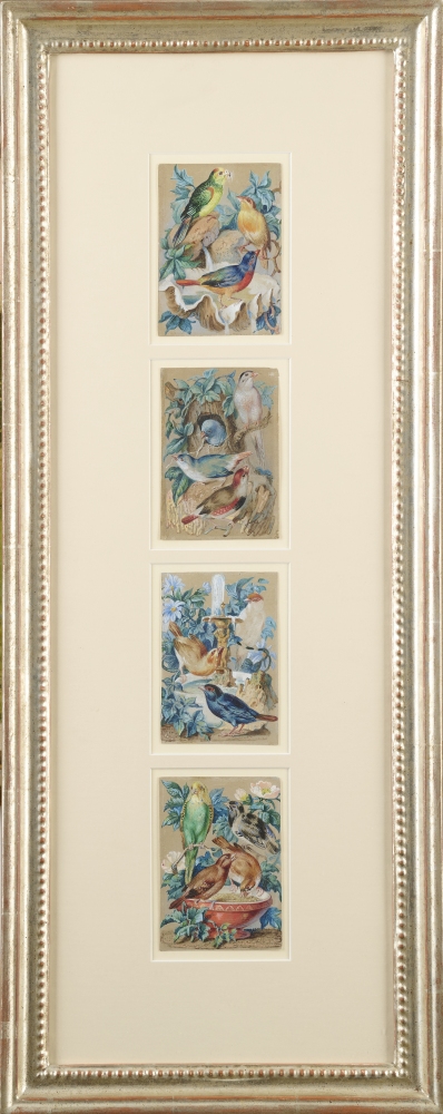 Vier feine Aquarelle mit verschiedenen Vogeldarstellungen 18./19.Jhdt.